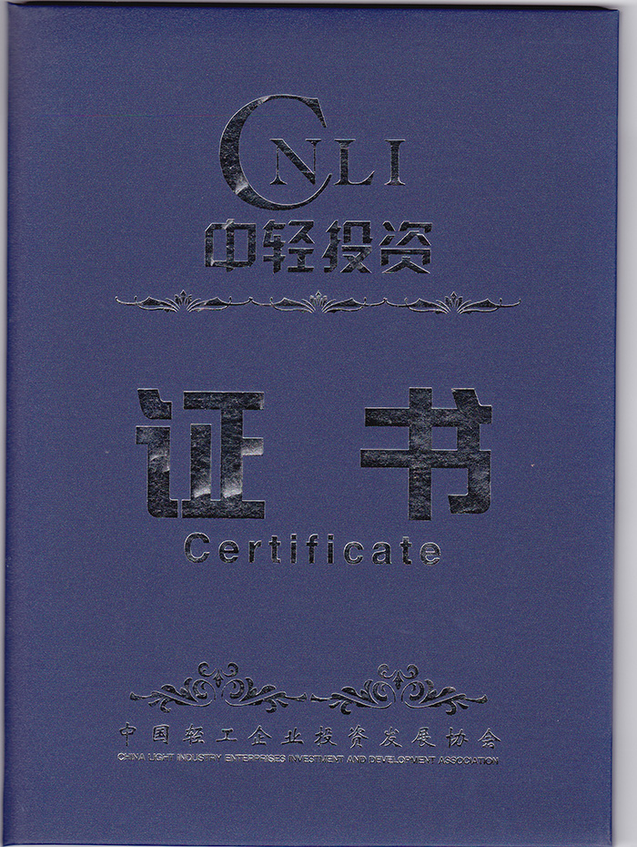 中轻投资